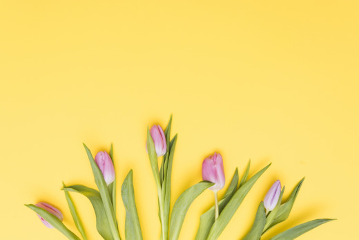 1359069 (a): :2560x1706